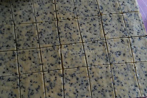 黑芝麻饼干的做法图解8