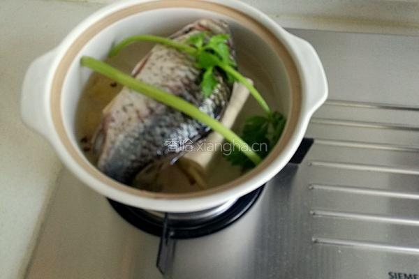 鲫鱼豆腐的做法图解14