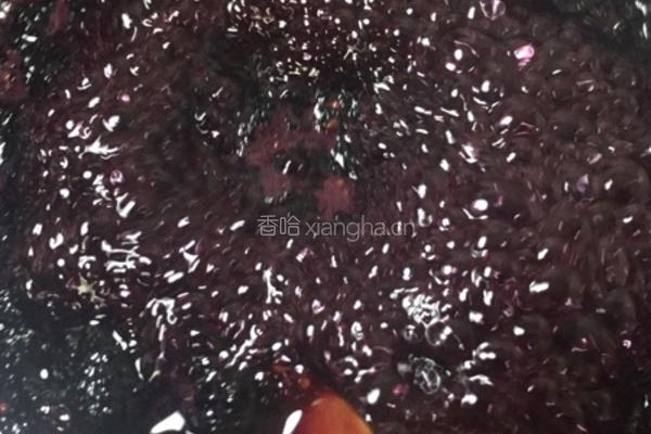 桑椹膏的做法图解4