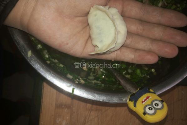 芋头韭菜肉馅饺子的做法图解13