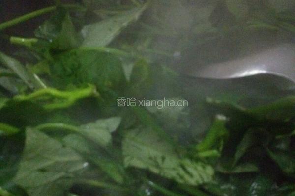素炒番薯叶的做法图解3