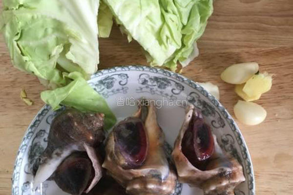  海螺片爆炒卷心菜的做法图解1