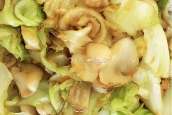  海螺片爆炒卷心菜的做法图解5