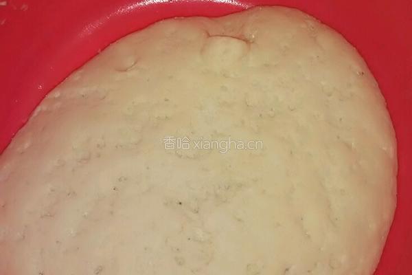 洋葱羊肉包子的做法图解2
