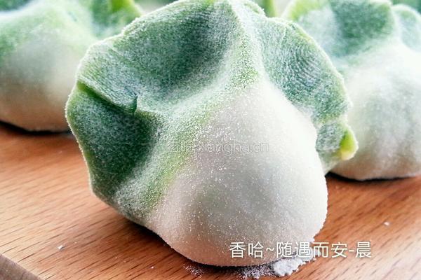 花团锦簇水饺的做法图解16