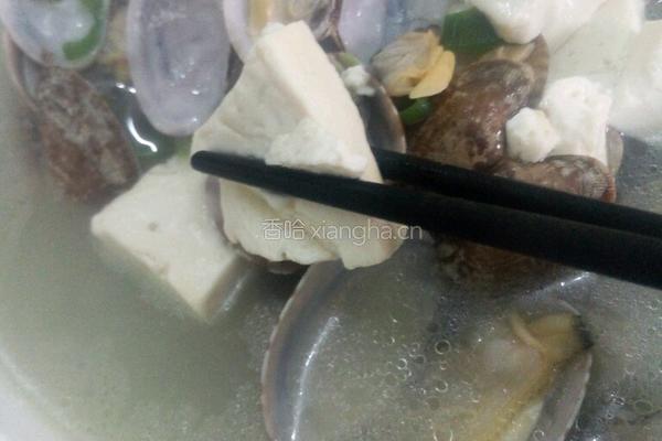 花蛤豆腐汤的做法图解6