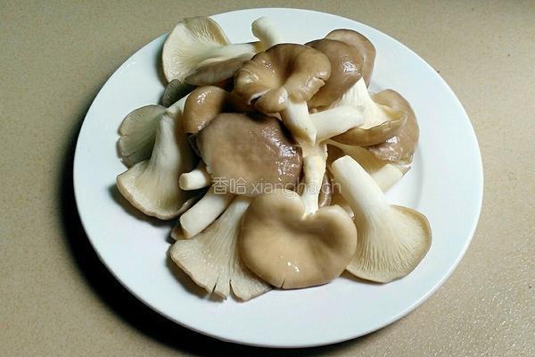秀珍菇炒肉的做法图解2