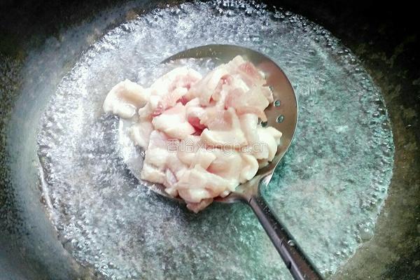 秀珍菇炒肉的做法图解4
