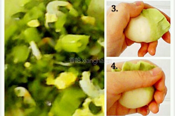 百財餃子的做法图解5