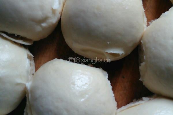 小麦馒头的做法图解6