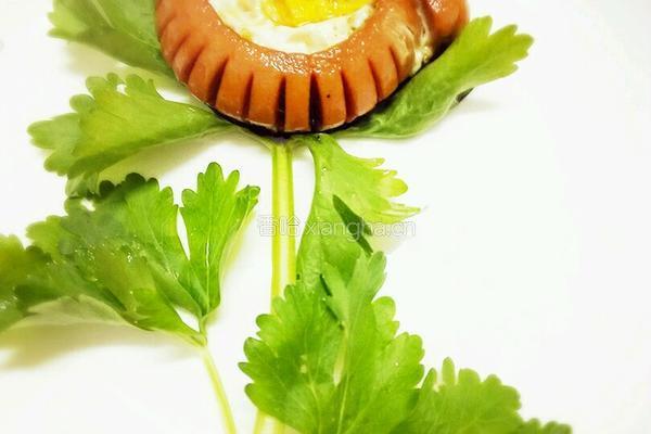 太阳花的做法图解5