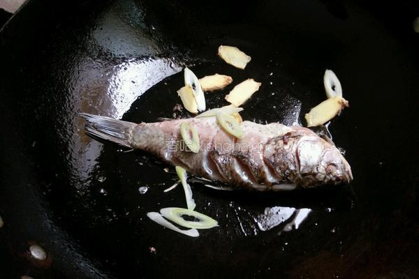 鲫鱼豆腐汤的做法图解4