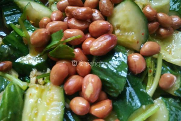 凉拌黄瓜的做法图解6