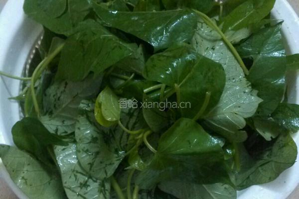 蒜香红薯叶的做法图解1