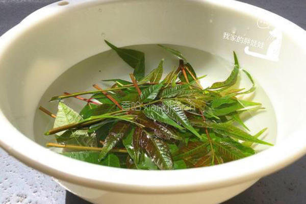香椿煎鸡蛋的做法图解1