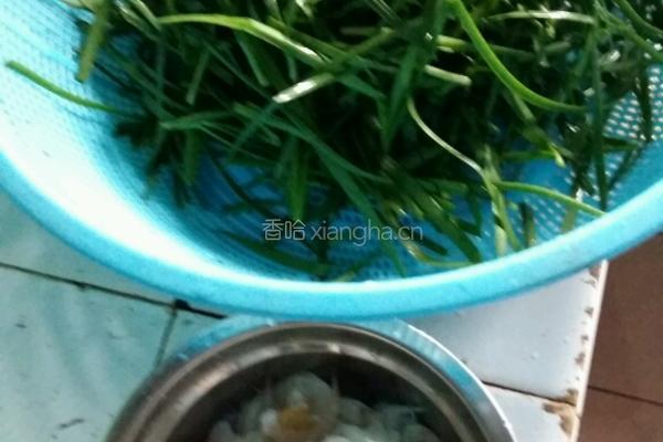韭菜炒白米虾的做法图解1