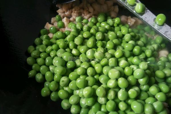 豌豆炒鸡肉的做法图解7