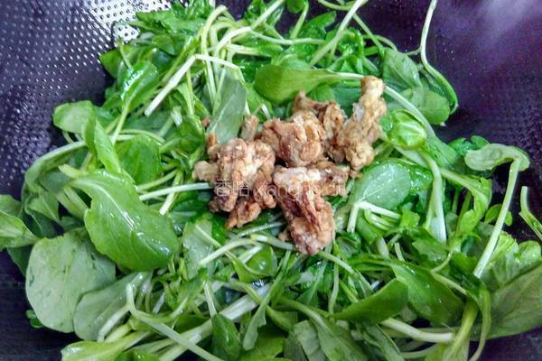 毛菜炒油渣的做法图解3
