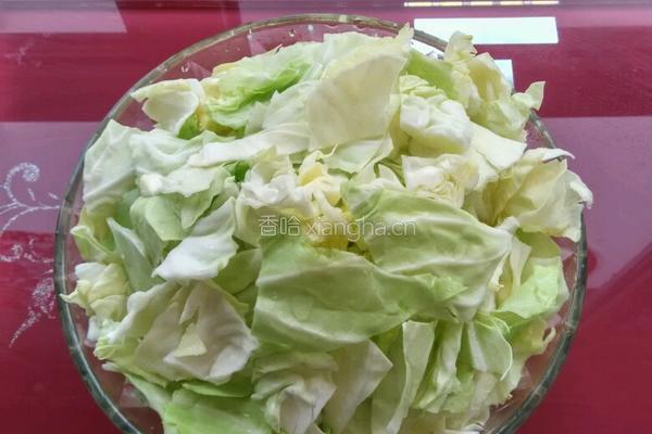 爆炒圆白菜的做法图解1