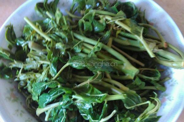 香椿芽拌豆腐的做法图解1