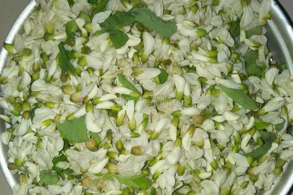 双粉蒸槐花的做法图解1