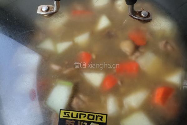 鸡腿冬瓜胡萝卜粉丝汤的做法图解9