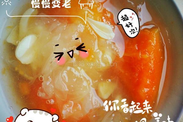 木瓜银耳羹的做法图解6