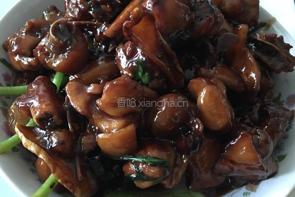 三杯鸡的做法图解7