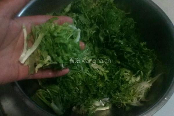 粉蒸苦菊的做法图解4