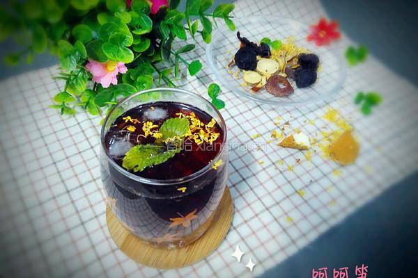 五味尚膳鲜煮酸梅汤的做法图解11