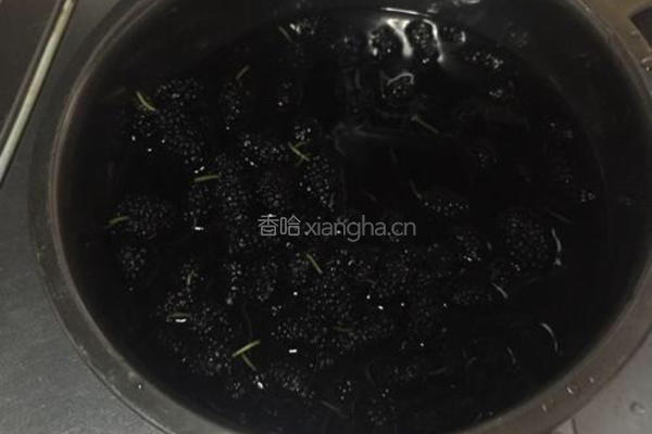 自制桑椹膏的做法图解1