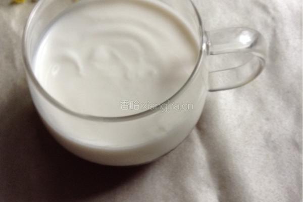 盘栽酸梅冻的做法图解4