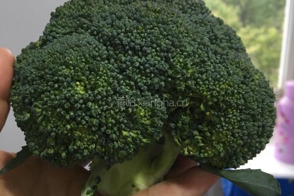 蒜蓉西兰花的做法图解1