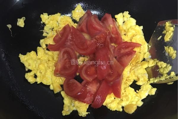 蕃茄炒鸡蛋的做法图解5