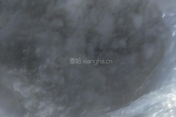凉拌银鱼苦菊的做法图解2