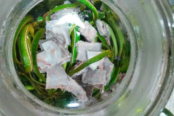 蛇酒的做法图解2