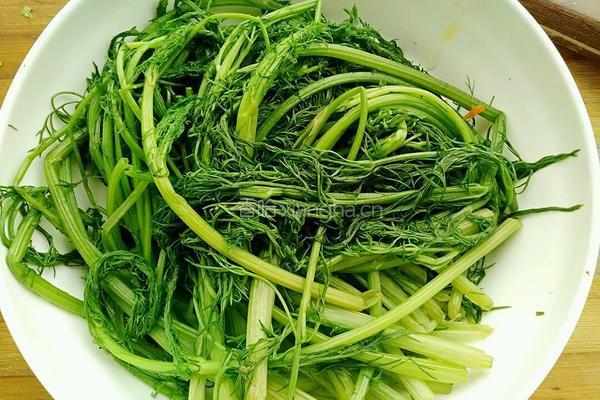 彩色鸳鸯蒸饺的做法图解6