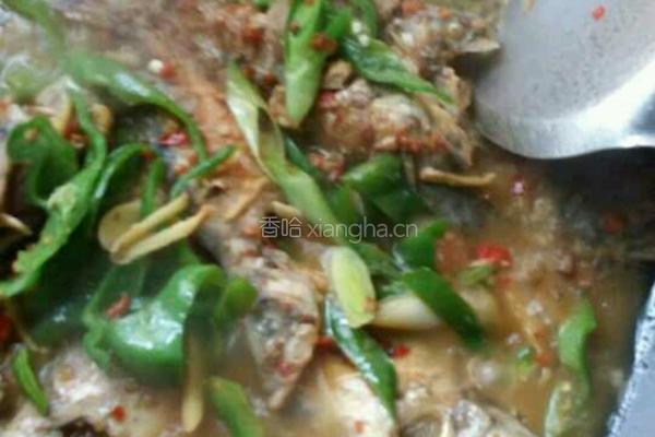 香辣桂鱼的做法图解4