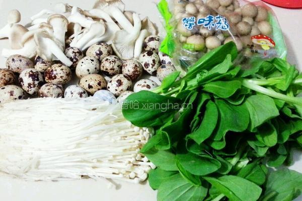 菌菇鹌鹑汤的做法图解1