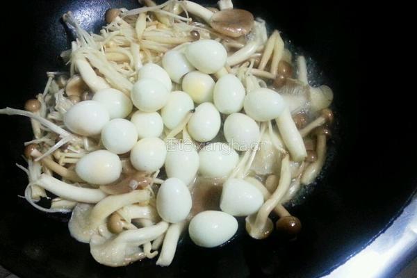 菌菇鹌鹑汤的做法图解4