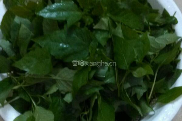 蒜香野菜的做法图解1