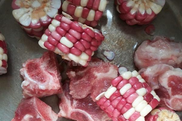 玉米排骨汤的做法图解1