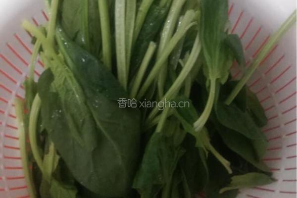 猪骨汤面的做法图解3