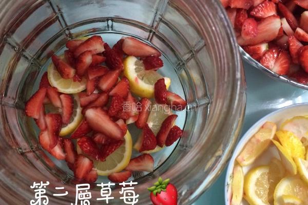 自制草莓酵素的做法图解3