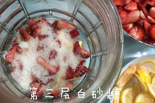 自制草莓酵素的做法图解4