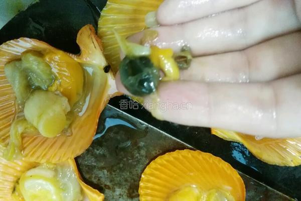 粉丝扇贝的做法图解2