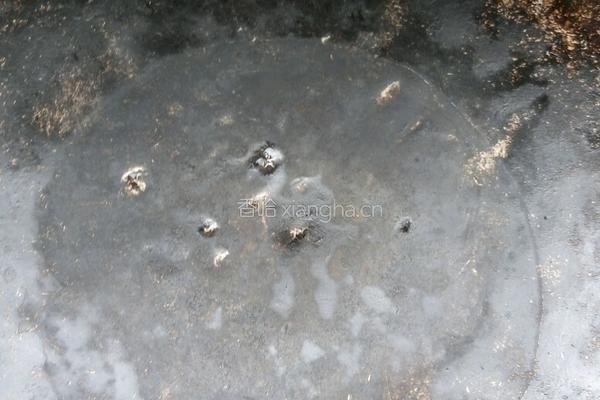香芹爆牛肚的做法图解2