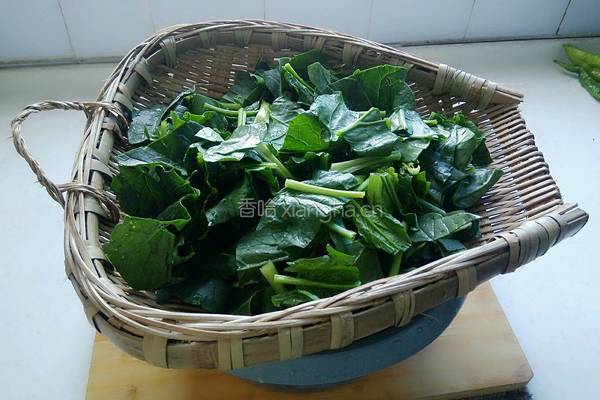 凉拌菠菜的做法图解2