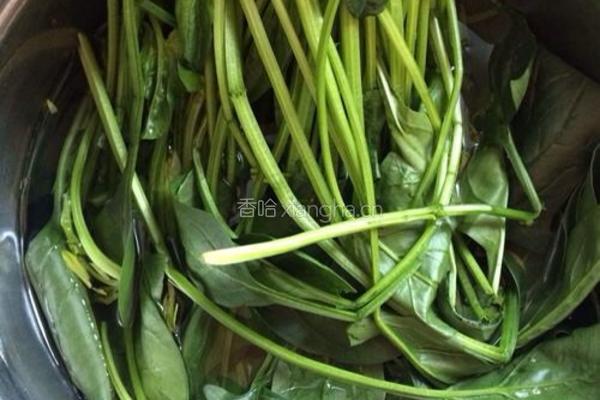 金针菇粉丝拌菠菜的做法图解1