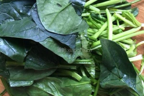 金针菇粉丝拌菠菜的做法图解3